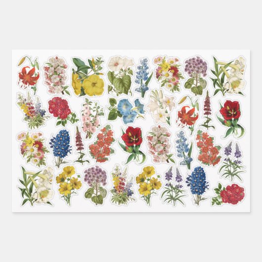 3 feuilles de collage à fleurs (Devant)