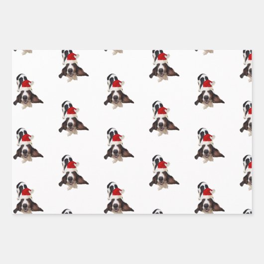 (3) Feuilles d'emballage de Noël de chien et de fa (Devant)