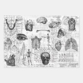 3 feuilles Ephemera Collage Halloween Corps Médica (Devant 3)