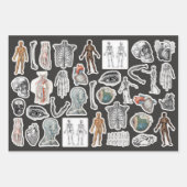 3 feuilles Ephemera Collage Halloween Corps Médica (Devant 2)