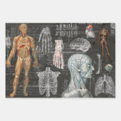 3 feuilles Ephemera Collage Halloween Corps Médica (Devant)