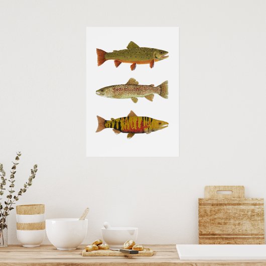 3 Forel- en zalmkunst Poster (Keuken)
