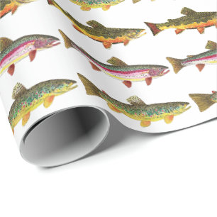 3 Forel Vliegvissen Cadeaupapier
