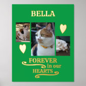 3 fotonaam huisdieren forever memorial groen goud folie afdrukken (Voorkant)