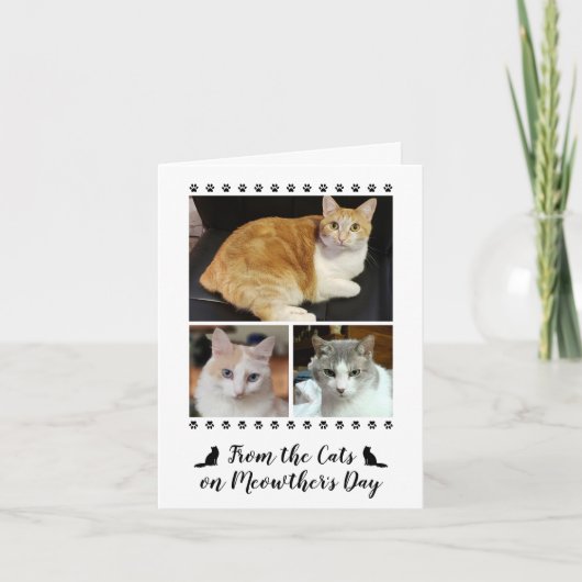 3 Fotoscript van Cat Dog Pet Kinder Moederdag Kaart (Voorkant)