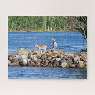 3 Geiten op Rotsen legpuzzel