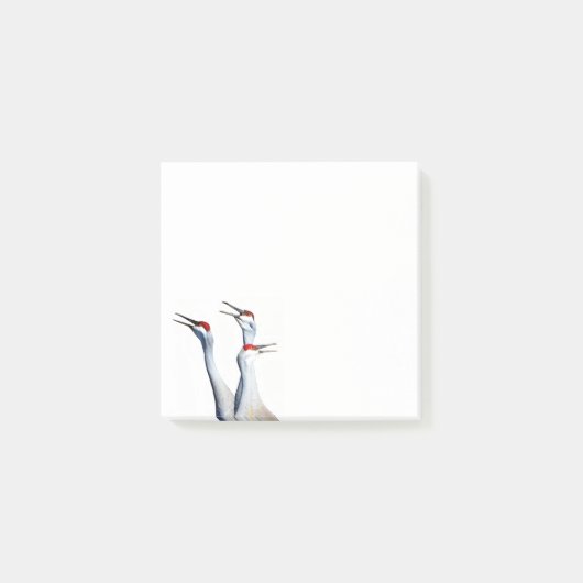 3 Grues Sandhill Photo 3x3 Post-it Notes (Devant)