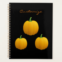 3 Halloween Thunder_Cove Citrouille