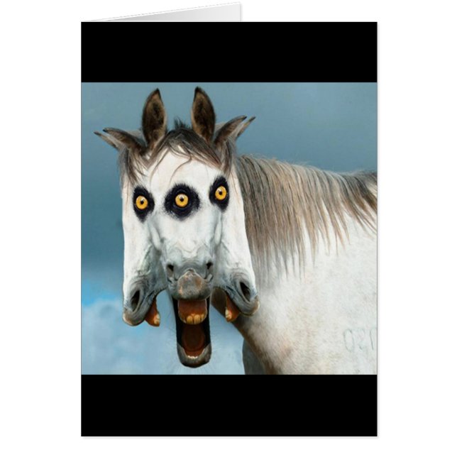 3-Hangpaarden (Voorkant)