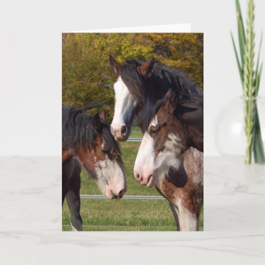 3 hoofden Clydesdale Kaart (Voorkant)