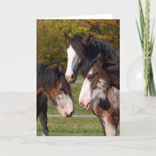 3 hoofden Clydesdale Kaart