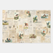 3 Jolies feuilles d'Ephémère Collage d'oiseaux (Devant 3)