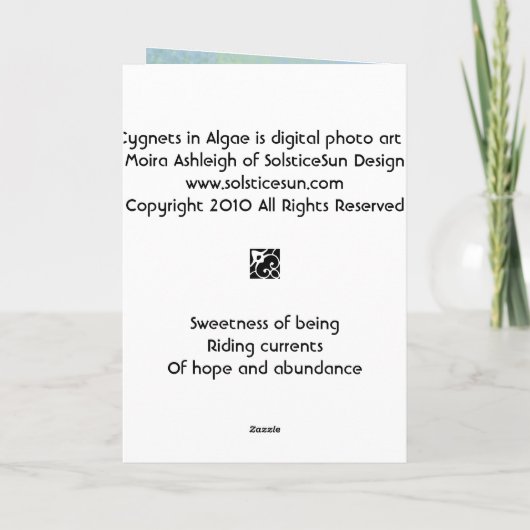 3 jonge zwanen in Algen Kaart (Achterkant)