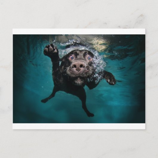 3.jpeg briefkaart (Voorkant)