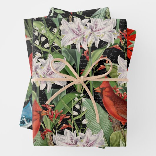 3 Kardinaal Jay Winter Bird Ephemera Sheets Inpakpapier Vel (In situ)