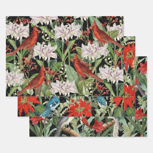 3 Kardinaal Jay Winter Bird Ephemera Sheets Inpakpapier Vel (Set)