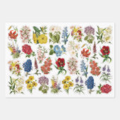 3 Kogelplaten voor de bloem Inpakpapier Vel (Voorkant)