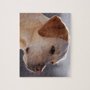 3 Labrador_Retriever.png Legpuzzel