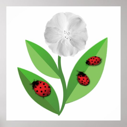 3 Ladybugs Poster (Voorkant)