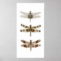 3 libellen - Verticaal