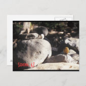 3 lil Rocks Briefkaart (Voorkant / Achterkant)