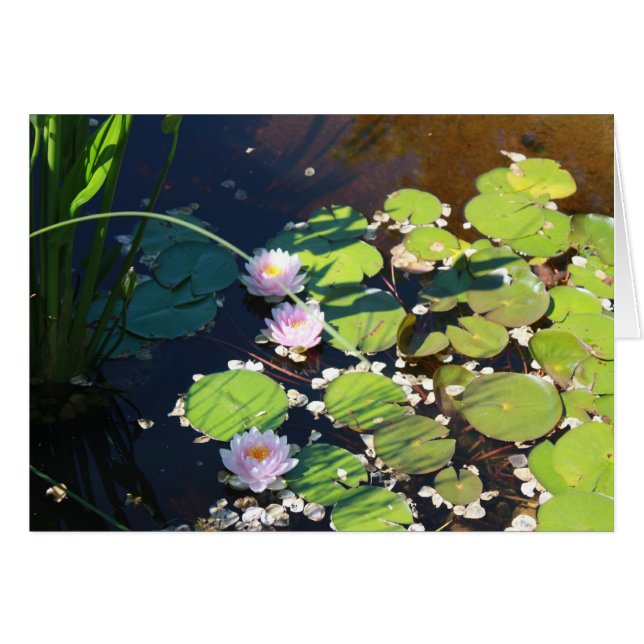 3 lis (Devant horizontal)