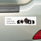 3 long haired piggies bumper sticker (En voiture)