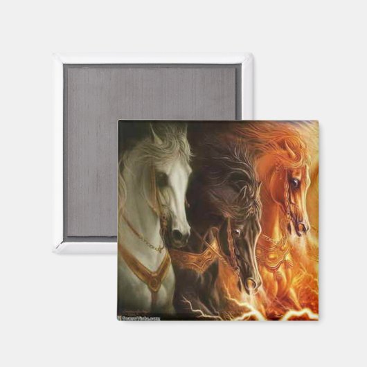 3 Magnet de chevaux (Recto/Verso)