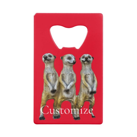 3 Meerkats debats Thunder_Cove (Devant)