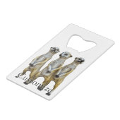 3 Meerkats debats Thunder_Cove (Dos Angle)