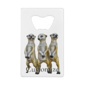 3 Meerkats debats Thunder_Cove (Dos)