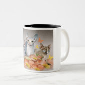 3 Mok van sphynx kittens (Voorkant rechts)