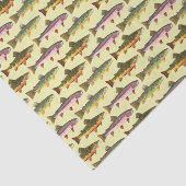 3 Mooie forel - Brook, regenboog, bruin Tissuepapier (Detail)