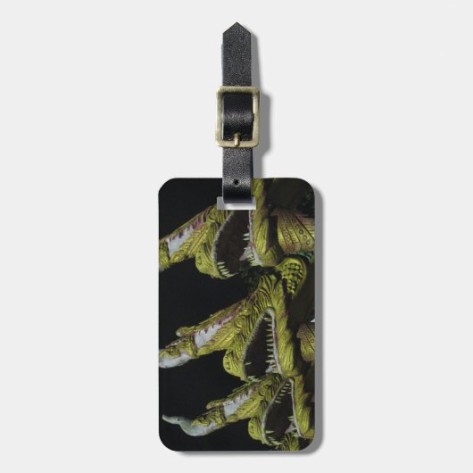 3 Nagas bij nacht Bagagelabel (Voorkant verticaal)