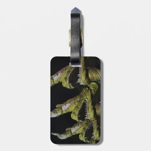 3 Nagas bij nacht Bagagelabel (Achterkant verticaal)
