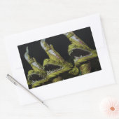 3 Nagas bij nacht Rechthoekige Sticker (Envelop)