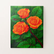 3 ORANJE ROZEN