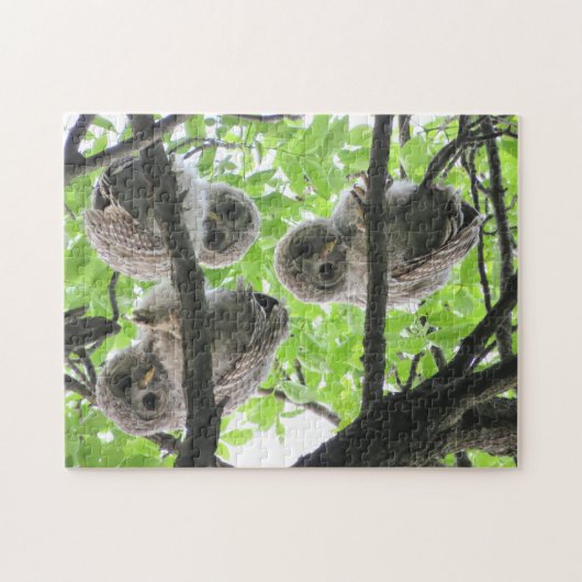 3 Owley Jigsaw Puzzle (Horizontal)