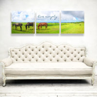 3 Paarden Foto trryptic Live Eenvoudig script graz