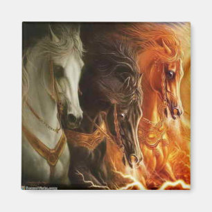 3 Paarden Magnet Magneet