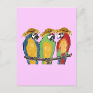 3 Papegaaien Briefkaart