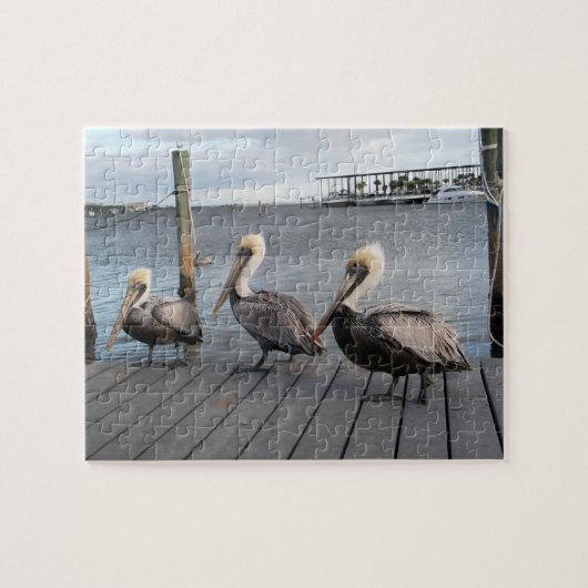 3 Pelicans in a row Legpuzzel (Horizontaal)