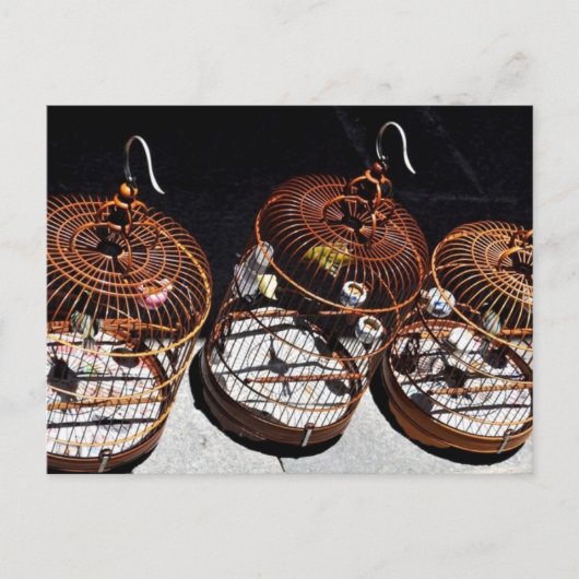 3 Petits oiseaux en Chine Carte postale (Devant)