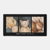 3 Photos Accueil C'Est Là Que Le Chat Est Noir (Recto)