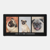 3 Photos Animaux Animaux De Compagnie L'Amour Est  (Recto)