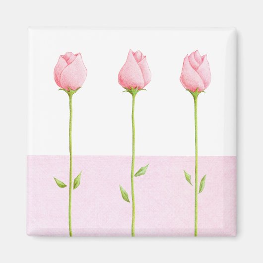 3 Pink Rosebuts Magnet (Devant)