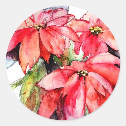 3 Poinsettias Kerst stickers (Voorkant)