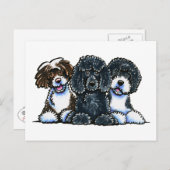 3 Portugese waterhonden Briefkaart (Voorkant / Achterkant)