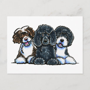 3 Portugese waterhonden Briefkaart
