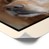 3 Poster photo (Coin)